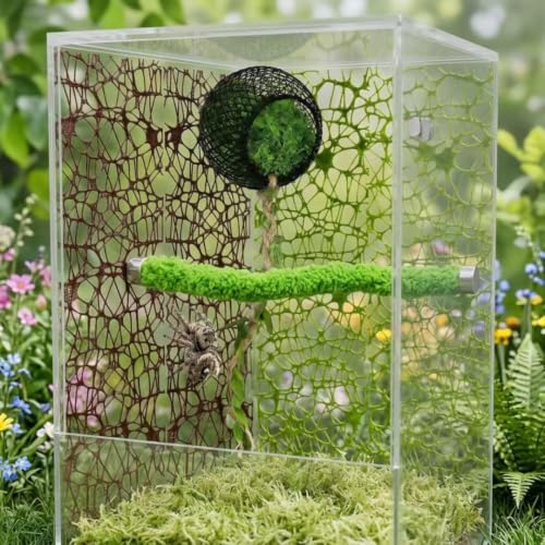 6PCS Magnetic Jumping Spider Hideout & Climbing Mesh Set(D) | Complete Enclosure Accessories Kit with Moss Hideout, Climbing & Hiding Decor for Small Reptiles, Tarantulas, Mantises