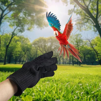 Bird Training Anti-Bite Gloves, Bite Proof Gloves, Small Animal Handling Chewing Protective for Small Animal Pet(Black