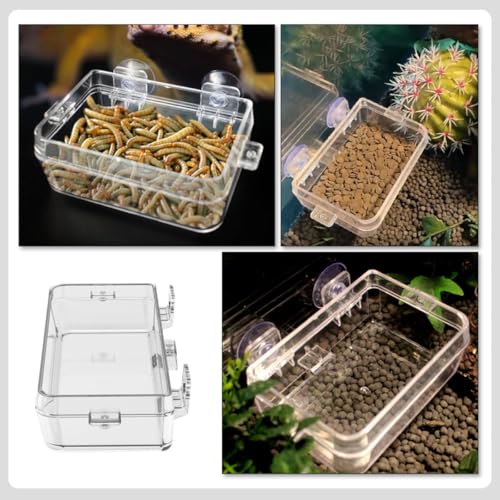 TOYANDONA Reptile Feeder Escape-Proof Feeding Box with Suction Cup Large Suspended Water Dish for Pet Geckos and Lizards Terrarium Use