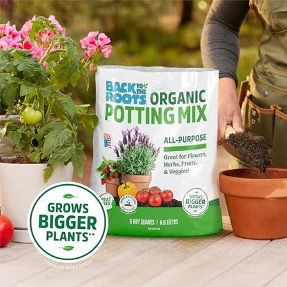 Back to the Roots 100% Organic Potting Mix (6 Quart) Premium Blend Made in The USA - size: 6 Quart, style: Premium Potting Mix