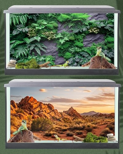 4 Pcs 48 x 18 Inch Reptile Habitat Background with Nano Glue Gobi Sun Black Stone and Tree Fern Stream Terrarium Background Polyester Durable Aquarium Accessories - color: Style3, size: 48 x 18 Inch
