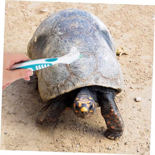 YARNOW 2pcs Turtle Shell Cleaning Brush Easy to Use Double-Sided Design Reptile Brush for Aquarium Accessories - color: Multi