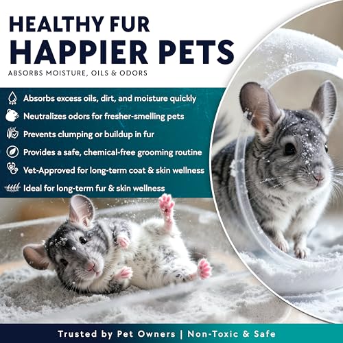 6 LB. Chinchilla Dust Bath Jar - Pure Cleansing Pumice Sand Dust for Cleaning Small Pets Like Gerbils, Mice, Degu - Premium, All Natural Dusting Powder - Chinchilla Accessories by Billy Buckskin - size: 6 Lb.