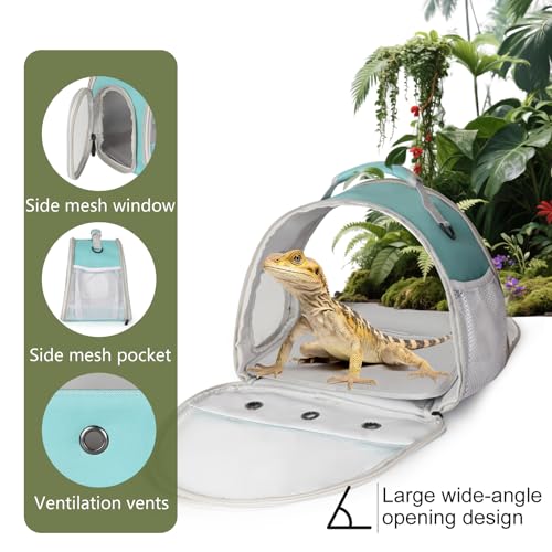 Bearded Dragon Carrier,Lizards Travel Bag, Small Animal Travel Carrier for Hedgehog Rat Parrot Bird, Portable Guinea Pig Travel Carrier for 2 - color: Green