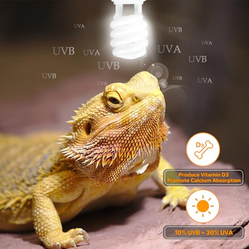 LUCKY HERP UVA UVB Reptile Light 10.0, Desert UVB 150 Compact Fluorescent Lamp, UVB Light for Reptiles 23W, UVA UVB Reptile Light Bulb, UVB Bulb for Reptiles Bearded Dragons Lizards Tortoises Snakes - style: UVB10.0 23W