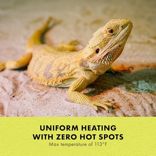 Zilla Heat Mat, Terrarium Heater for Reptiles, Snakes (Ball Pythons, Corn Snakes), Leopard Geckos, Tortoises, Amphibians and Arachnids, Medium, Fits 30-40 Gallon, 16 Watt | Terrarium Heater for Reptiles, Snakes (Ball Pythons, Corn Snakes), Leopard Geckos,