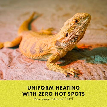 Zilla Heat Mat, Terrarium Heater for Reptiles, Snakes (Ball Pythons, Corn Snakes), Leopard Geckos, Tortoises, Amphibians and Arachnids, Medium, Fits 30-40 Gallon, 16 Watt | Terrarium Heater for Reptiles, Snakes (Ball Pythons, Corn Snakes), Leopard Geckos,