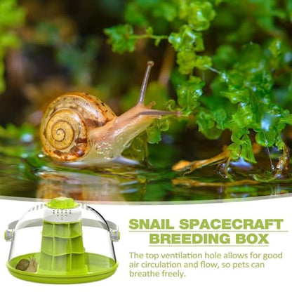 Spider Breeding Box Breathable Portable Mini Pet House Ventilation Holes | Reptile Terrarium for Small Animals Silkworms Snails Turtles