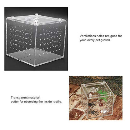 Reptile Breeding Box Acrylic Terrarium Transparent Durable Enclosure with Ventilation Holes Feeding Hole Safety Lock Cover for Snakes Spiders Lizards Insects Small Pets 10x10x9cm