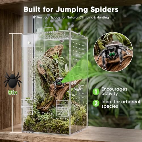 4"×4"×8" Ready-to-Use Acrylic Jumping Spider Enclosure No Assembly Needed | 360° Ventilation, Mini Reptile Terrarium for Jumping Spider, Mantis, Snail – Ideal for Desk, Living Room & Bedroom