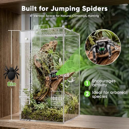 4"×4"×8" Ready-to-Use Acrylic Jumping Spider Enclosure No Assembly Needed | 360° Ventilation, Mini Reptile Terrarium for Jumping Spider, Mantis, Snail – Ideal for Desk, Living Room & Bedroom