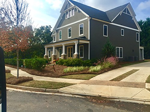 USA Pine Straw | Premium Pine Needle Mulch - 210 Sqft. (1) - size: Pine Needle Mulch - 210 Sqft 1 set