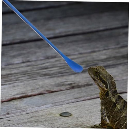 SUPVOX 2pcs Reptile Food Scoop Small Pet Feeding Spoon Long Handle Lizard Desert Spoon - color: Blue