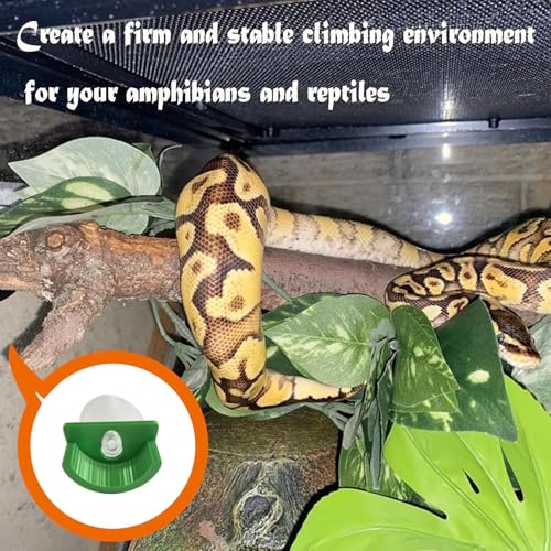 Green Branch Supports with Suction Cup for Gecko,Frog,Amphibian Lizard Snake Jumping Spider Climbing, Black Branch Holder for Reptile Terrarium Tank