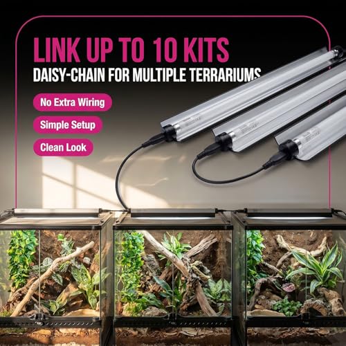 Arcadia T5 UVB Reptile Light Fixture Kit 22.5" Long 24 Watts 6% UVB Forest – Complete UVB Light for Reptiles, Turtles, Snake, Bearded Dragon Lamp, Long Lasting Easy to Use Professional Lighting