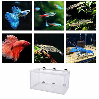 Large Fish Breeder Net with Suction Cups Nylon Mesh Fish Fry Hatchery Breeder Isolation Box Separation Net for Plants/Shrimp on Aquarium Tank