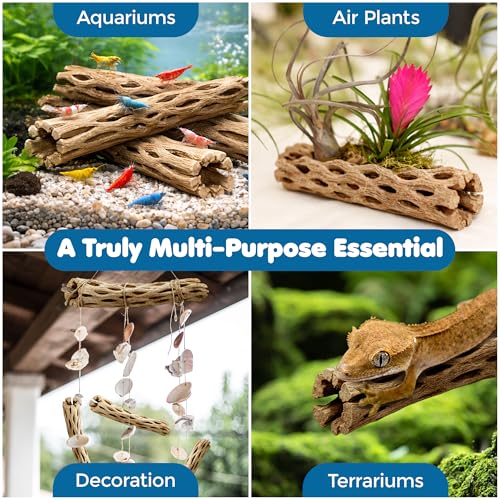 SunGrow Cholla Wood, 6” Climbing Logs, Chew Toy, Aquarium Fish, Snail, and Shrimp Driftwood, Tropical Freshwater Fish Décor, Adds Raw Beauty, 3 Pack