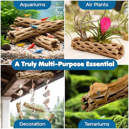 SunGrow Cholla Wood, 6” Climbing Logs, Chew Toy, Aquarium Fish, Snail, and Shrimp Driftwood, Tropical Freshwater Fish Décor, Adds Raw Beauty, 3 Pack