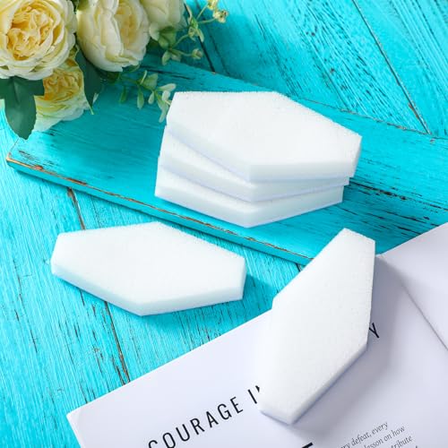 20 Pcs Aquarium Cleaner Sponge Algae Cleaner Non Scratch Scrubber Pads Glass Aquarium Cleaning Tools Handheld for Turtle Fish Tank Supplies