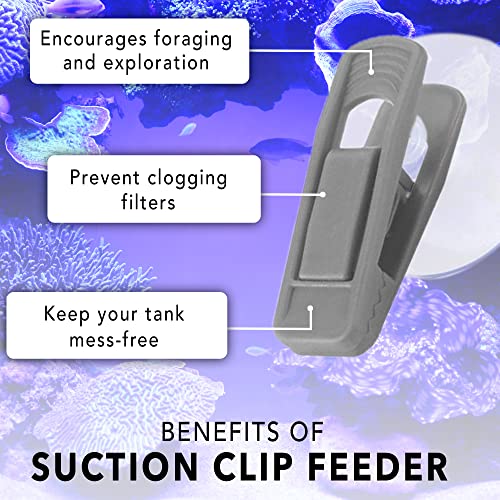 JOR Fish Veggie, Kelp, and Catappa Leaf Suction Cup Clip Feeder, Perfect for Bettas, Plecos, Snails, Shrimp, Release Beneficial Elements in Water, Turtles Love It, 3pcs