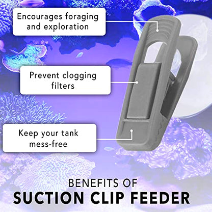 JOR Fish Veggie, Kelp, and Catappa Leaf Suction Cup Clip Feeder, Perfect for Bettas, Plecos, Snails, Shrimp, Release Beneficial Elements in Water, Turtles Love It, 3pcs