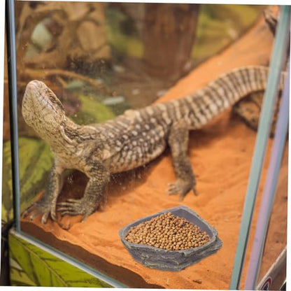 Reptile Feeding Bowl Resin Reptile Supplies Lizard Food Storage Container Tortoise Water Feeder