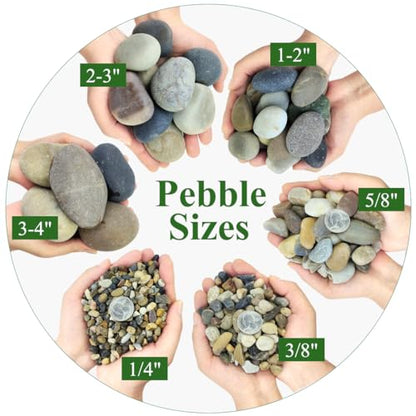 2lbs Natural River Rocks, 1/4" Aquarium Gravel Succulent Cactus | Pea Gravel for Plants, Fish Tank, Decorative Pebbles for Gardening, Flower Pots, Vase, Indoor Water Fountains, Landscaping - size: 1/4 Inch