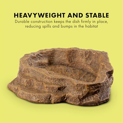 Zilla Terraced Dish, Reptile Feeding Dish, Stable and Spill-Resistant, Ideal for Geckos, Skinks, Snakes and Lizards, Large - size: Large