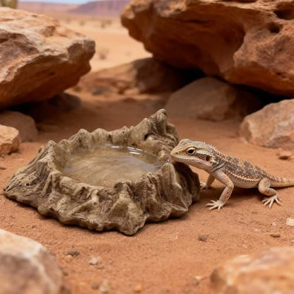 Heavy Concrete Reptile Water Dish - 100% Non-Tipping Volcano Rock Snake Water Bowl for Bearded Dragon, Tortoise, Leopard Gecko Tank Accessories