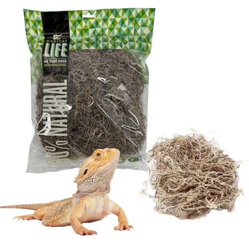 Spanish Moss for Terrarium Habitats, Medium 1-Pack | Preserved Moss for Reptiles, Amphibians & Invertebrates Terrariums, Humidity Control, Soft, Dye-Free, Family Owned, USA Made