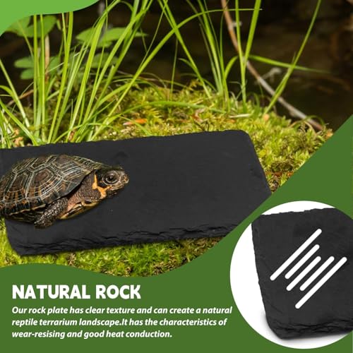 kathson 2 PCS Reptile Basking Platform (15.7 x 11.8 inches), Natural Rock Plate Turtle Food Bowl Feeding Dish Resting Terrace Habitat Decor for Tortoise Turtle Lizard Bearded Dragon Crested Gecko - size: 15.7X11.8inch,2PCS