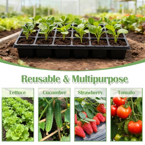 RooTrimmer 10 Pack 18 Cell Seed Starter Trays - 2.9 "Deep 3 Inch Big Cell Plastic Nursery Trays, 20" x 10", for 1020 Flat Trays Seed Germination, Planting Seedlings & Propagation - color: Black, size: 18 Cells-10P