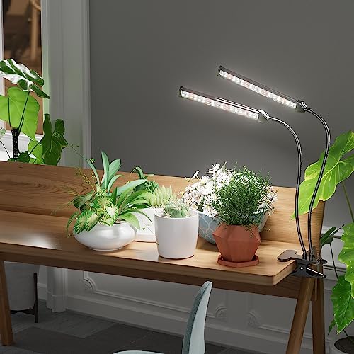 Grow Light,24W (160Watts Equiv) 5000K White Full Spectrum LED Growing Lamp Clip on Desk for Indoor Plants,Bulbs Replaceable & Non-dimmable (Black, 80Watts) - size: 80Watts