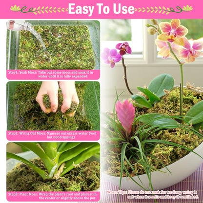 Riare 4.4LB Premium Sphagnum Moss for Plants- 80QT Natural Dried Plant Moss | Moisture Retention & Drainage Orchid Moss for Repotting, Succulents, Carnivorous, Ferns, Green Moss for DIY Craft, Reptiles - size: 80 QT(Appx.4.4lbs)