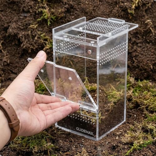 Jumping Spider Enclosure - 3x3x6 Acrylic Tarantula Enclosure Reptile Habitat with Front & Top Magnetic Doors, 0.04" Ventilation Holes Pre-Assembled Terrarium for Spiders, Mantis, Snails, Lizards - size: 3x3x6inch