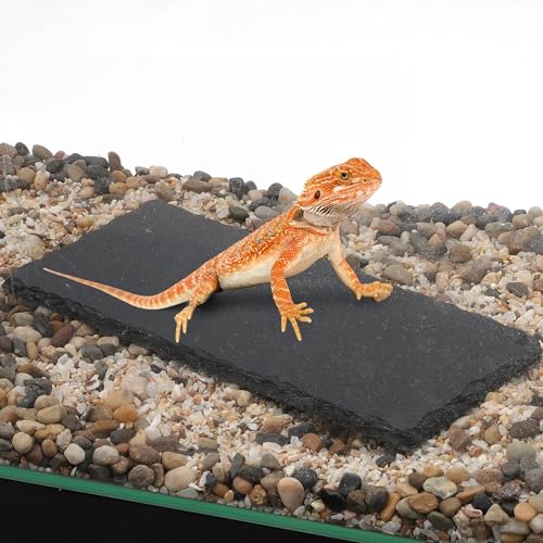 Reptiles Slate Rocks, Basking Surface Reptile Basking Platform, Enhances Climbing Activity, 7.87"x3.94", Black Gray - size: 7.87"x3.94"