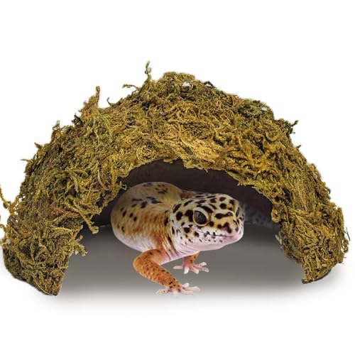 Tfwadmx 1PCS Leopard Gecko Hide, Coconut Reptile Hides Cave, Snake Hideout Mossy Caves Climbing Hide Reptile Tank Decor for Lizard Gecko Hermit Crab