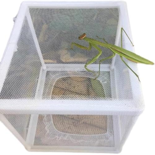 Mantis Egg Incubator for Small Animals | Egg Incubation, Small Animal Use, Compact Design, Reptile Hatchery, Mantis Habitat
