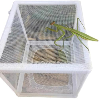 Mantis Egg Incubator for Small Animals | Egg Incubation, Small Animal Use, Compact Design, Reptile Hatchery, Mantis Habitat