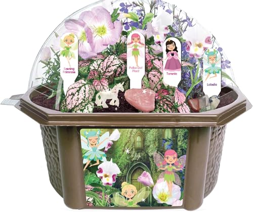 Toys by Nature Fanciful Fairy Biosphere Terrarium Starter Kit, Complete Supplies Included to Create Your Own Enchanting Garden and Indoor Plants! (Fanciful Fairy Garden) - style: Fanciful Fairy Garden
