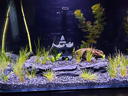 USA Natural Slate 3-5" for Aquariums, Reptiles, Terrariums, Miniatures 12lb | Hand sorted, tumbled & washed in the US by our family-owned small business. Great in paludariums, mosaics & fairy gardens too - size: 12 Pounds