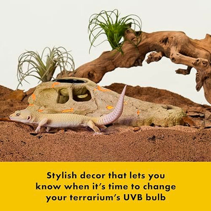 Zilla Rapid Sense UV Detecting Pet Reptile Terrarium Décor, Detects UVB Levels, Crocodile Skull, Medium - size: Medium