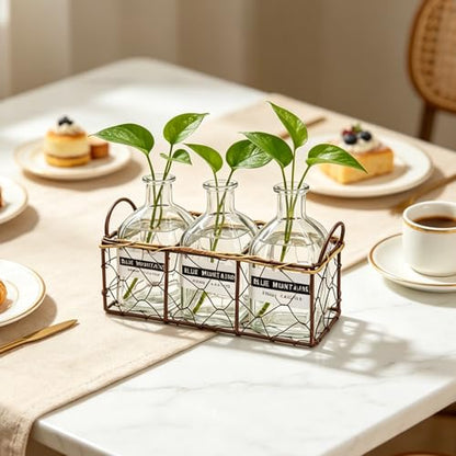 Plant Propagation Stations with Metal Stand, Willow-Woven Wire Mesh Retro Glass Planter for Hydroponic Propagating, Desktop Terrarium Flower Vase for Home Kitchen Office Decor Gifts, 3 Jars