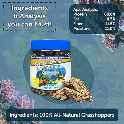 Grasshoppers, Freeze Dried Grasshoppers for Large Tropical Fish, Monster Fish, Reptiles, Turtles, Tortoises, Frogs, Hamsters, Birds, Rodents 4.3oz Canister - size: 4.3 Ounce (Pack of 1)