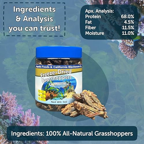 Grasshoppers, Freeze Dried Grasshoppers for Large Tropical Fish, Monster Fish, Reptiles, Turtles, Tortoises, Frogs, Hamsters, Birds, Rodents 1.0oz Canister - size: 1 Ounce (Pack of 1)