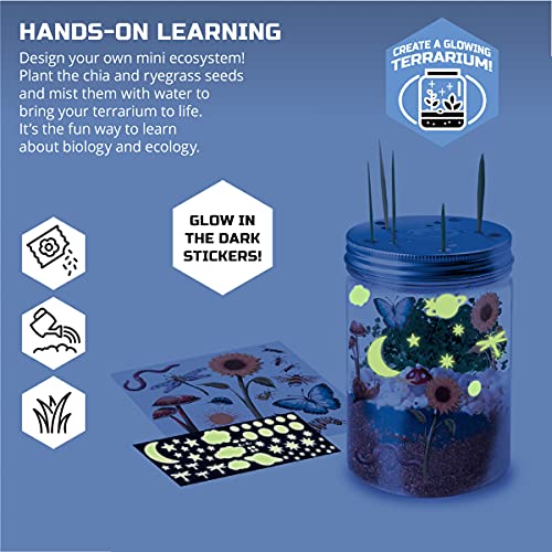 Discovery #MINDBLOWN DIY Terrarium Grow Kit, Fast-Growing Indoor Mini Garden, Create A Living Ecosystem, Includes Sand, Seeds, Potting Mix, Stones and More