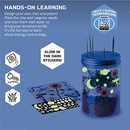 Discovery #MINDBLOWN DIY Terrarium Grow Kit, Fast-Growing Indoor Mini Garden, Create A Living Ecosystem, Includes Sand, Seeds, Potting Mix, Stones and More