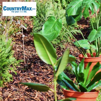 Natural Shredded Hardwood Mulch, 2 Cu. Ft. - color: Natural Shredded Hardwood