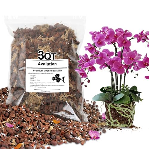 Orchid Bark Potting Mix 3 Quart, Mix Pine Bark,Perlite, Sphagnum Moss and Clay Pebbles for Plants, Orchid Garden Soil for Potting,Repotting - color: Orchid Bark Mix, size: 3QT