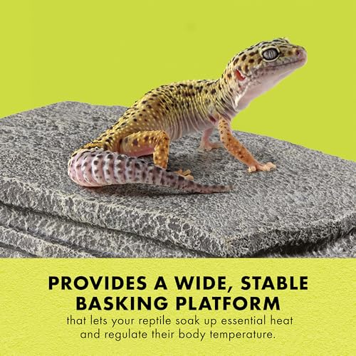 Zilla Herp Hotel, Naturalistic Hide and Basking-Platform for Leopard Geckos, Bearded Dragons, Anoles, Medium - size: Medium
